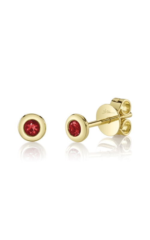 Shy Creation Earrings  SC55026469